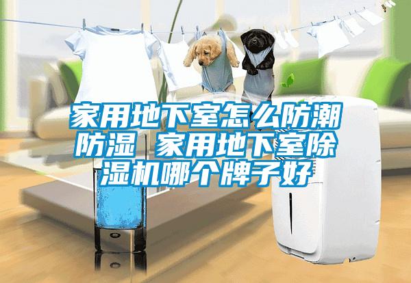 家用地下室怎么防潮防湿 家用地下室草莓视频黄色在线观看机哪个牌子好