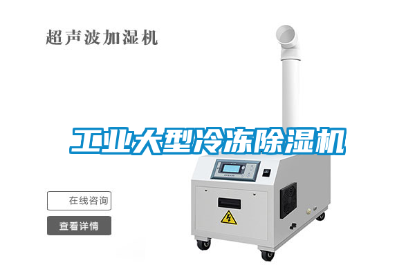 工业大型冷冻草莓视频黄色在线观看机