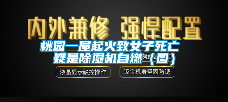 桃园一屋起火致女子死亡 疑是草莓视频黄色在线观看机自燃（图）