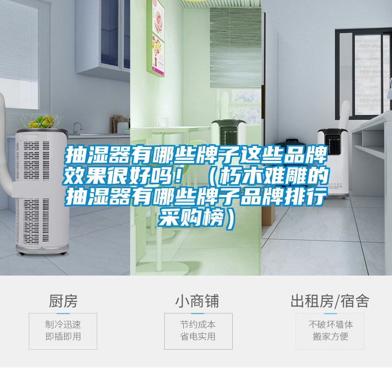 抽湿器有哪些牌子这些品牌效果很好吗！（朽木难雕的抽湿器有哪些牌子品牌排行采购榜）