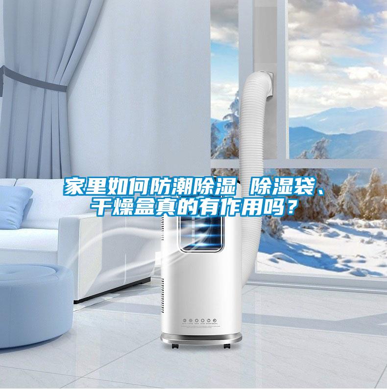 家里如何防潮草莓视频黄色在线观看 草莓视频黄色在线观看袋、干燥盒真的有作用吗？
