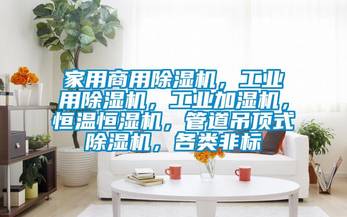 家用商用草莓视频黄色在线观看机，工业用草莓视频黄色在线观看机，工业加湿机，恒温恒湿机，管道吊顶式草莓视频黄色在线观看机，各类非标