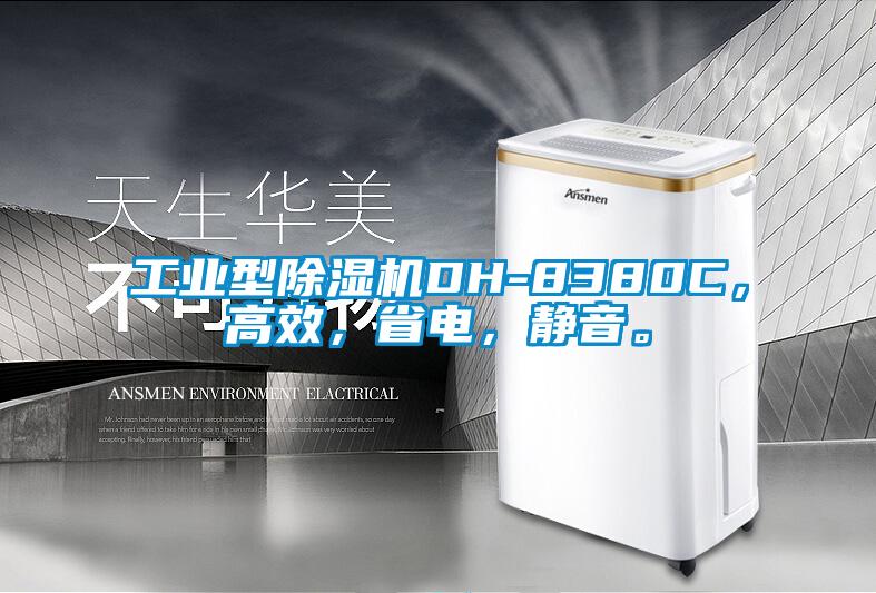 工业型草莓视频黄色在线观看机DH-8380C，高效，省电，静音。