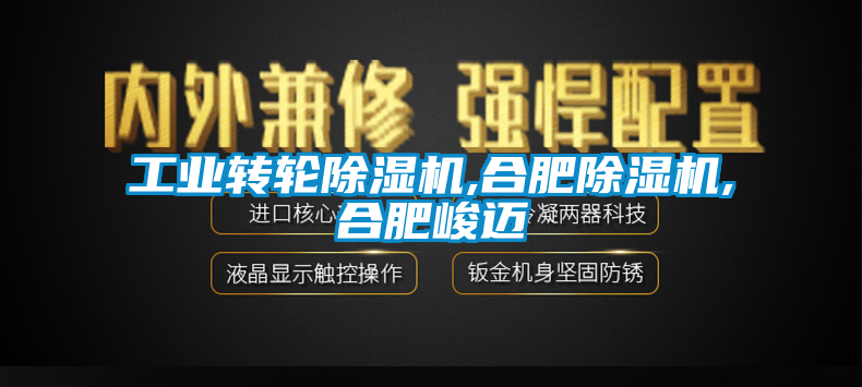 工业转轮草莓视频黄色在线观看机,合肥草莓视频黄色在线观看机,合肥峻迈