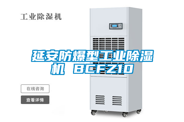 延安防爆型工业草莓视频黄色在线观看机 BCFZ10