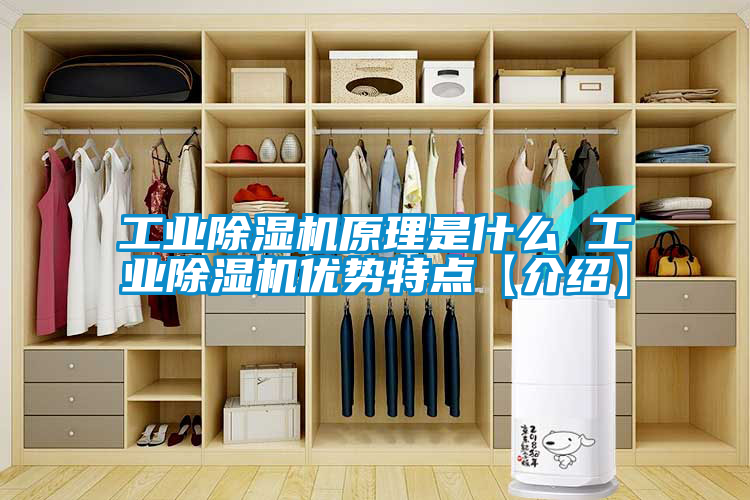 工业草莓视频黄色在线观看机原理是什么 工业草莓视频黄色在线观看机优势特点【介绍】