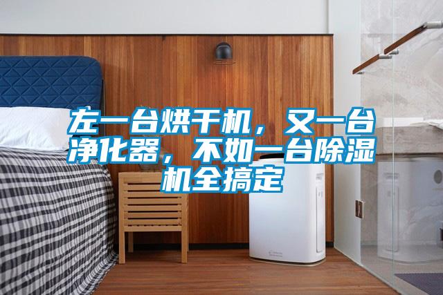 左一台烘干机，又一台净化器，不如一台草莓视频黄色在线观看机全搞定