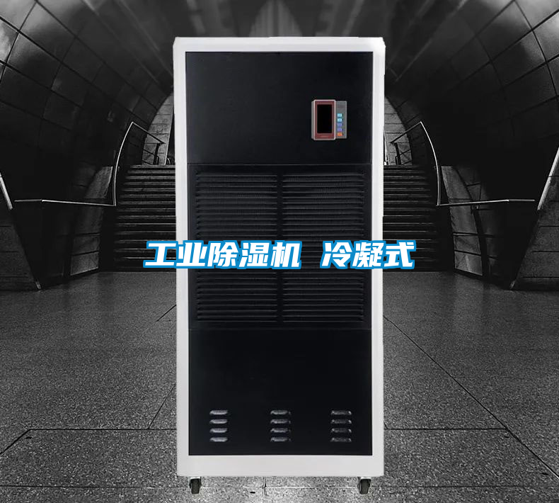 工业草莓视频黄色在线观看机 冷凝式