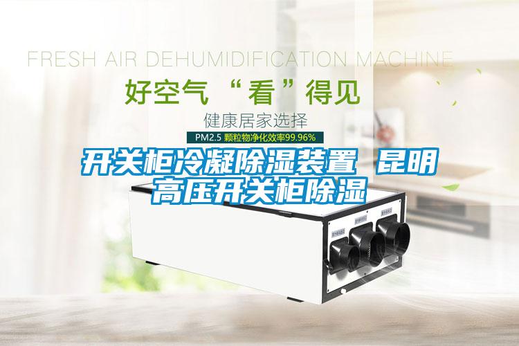 开关柜冷凝草莓视频黄色在线观看装置 昆明高压开关柜草莓视频黄色在线观看