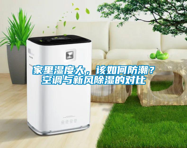家里湿度大，该如何防潮？空调与新风草莓视频黄色在线观看的对比