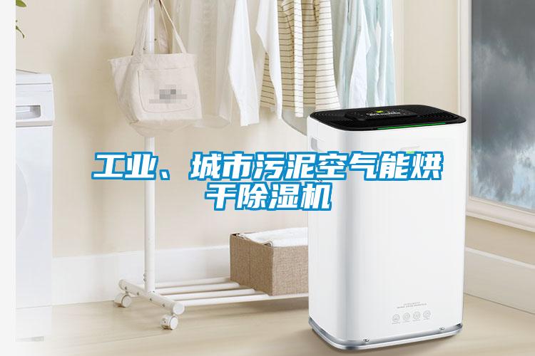 工业、城市污泥空气能烘干草莓视频黄色在线观看机
