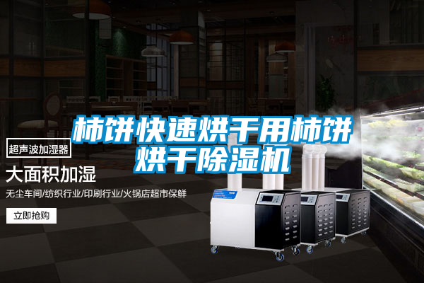 柿饼快速烘干用柿饼烘干草莓视频黄色在线观看机