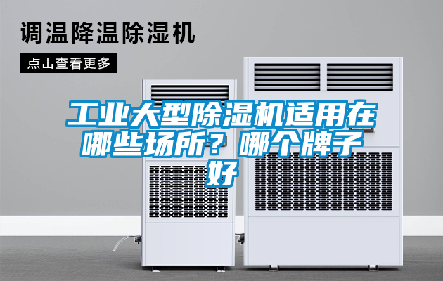 工业大型草莓视频黄色在线观看机适用在哪些场所？哪个牌子好