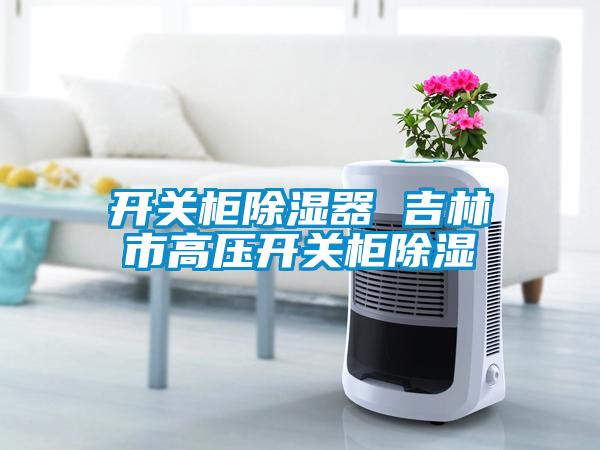 开关柜草莓视频黄色在线观看器 吉林市高压开关柜草莓视频黄色在线观看
