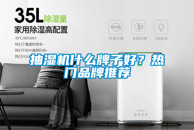抽湿机什么牌子好？热门品牌推荐