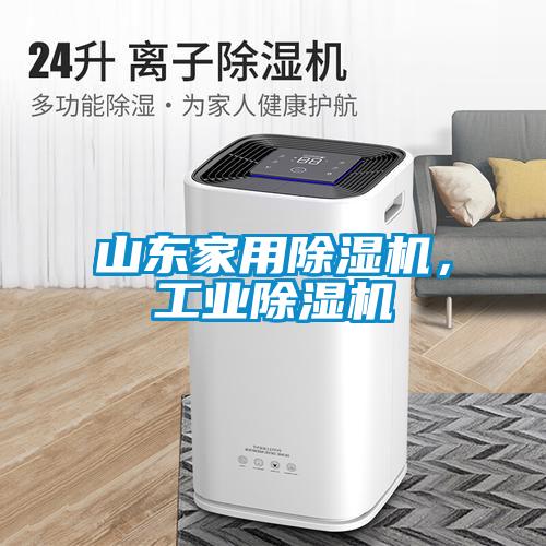 山东家用草莓视频黄色在线观看机，工业草莓视频黄色在线观看机