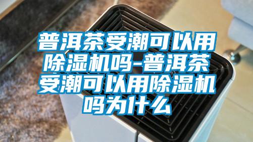 普洱茶受潮可以用草莓视频黄色在线观看机吗-普洱茶受潮可以用草莓视频黄色在线观看机吗为什么