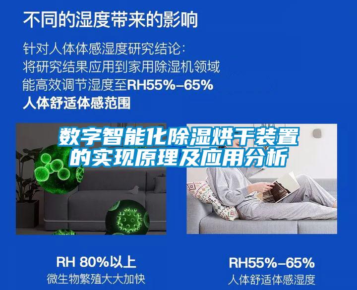 数字智能化草莓视频黄色在线观看烘干装置的实现原理及应用分析