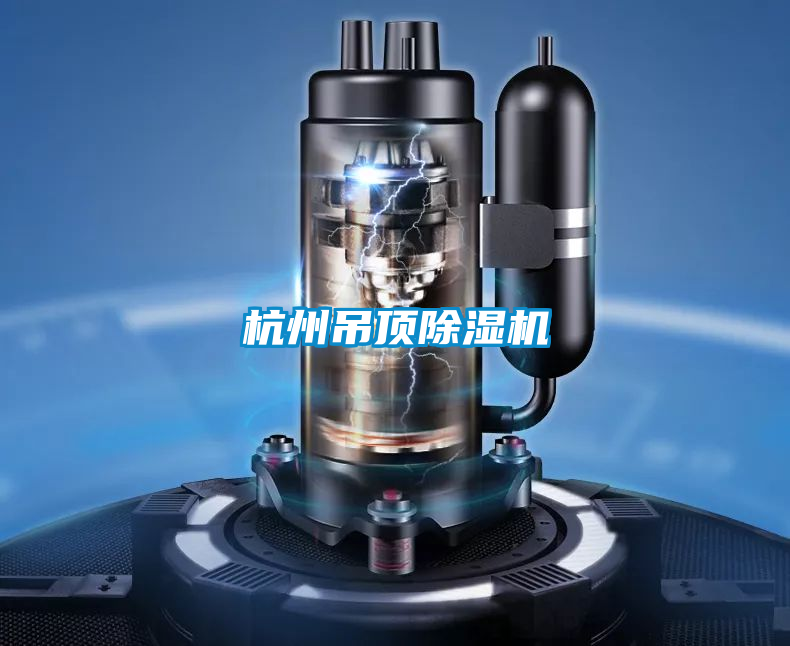 杭州吊顶草莓视频黄色在线观看机