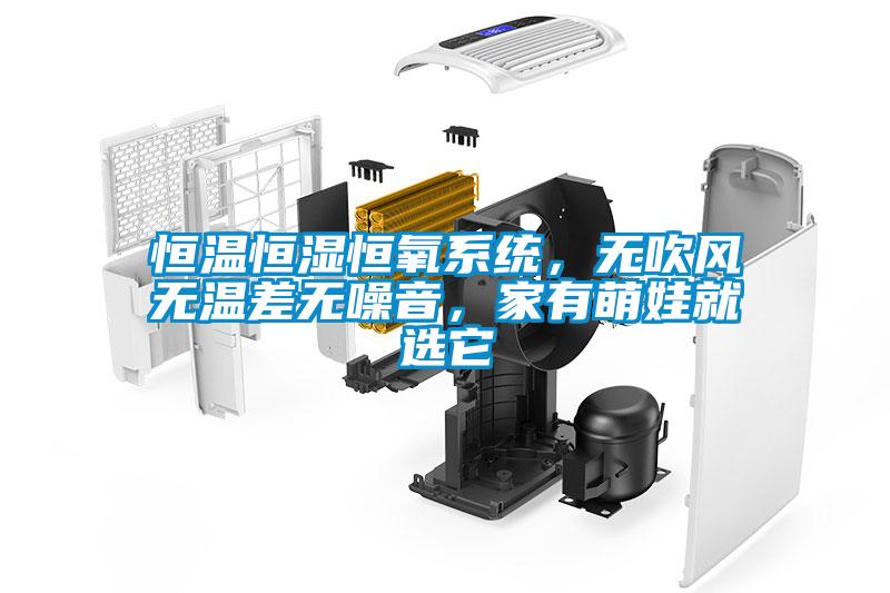 恒温恒湿恒氧系统，无吹风无温差无噪音，家有萌娃就选它