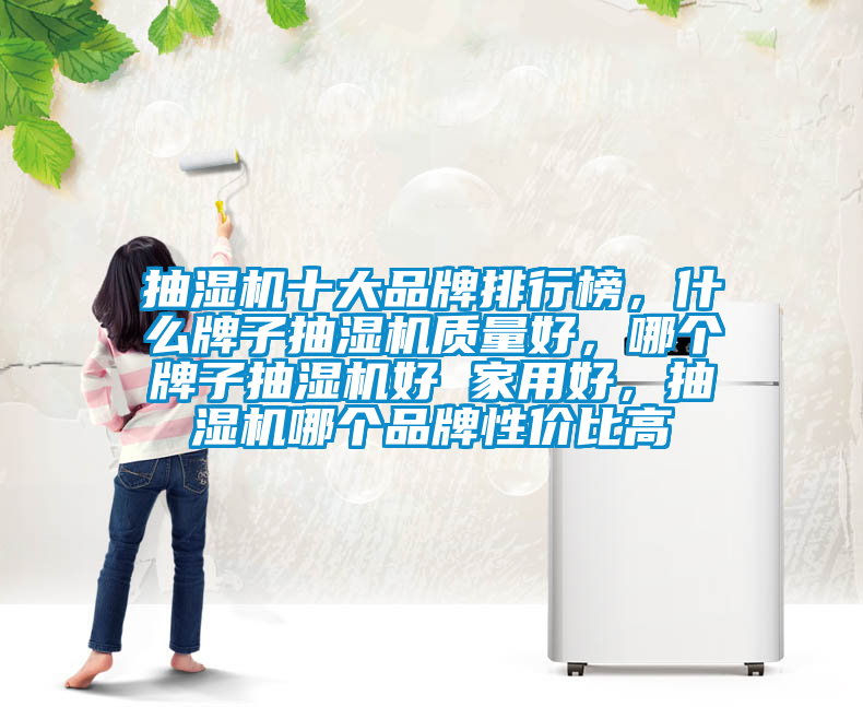 抽湿机十大品牌排行榜，什么牌子抽湿机质量好，哪个牌子抽湿机好 家用好，抽湿机哪个品牌性价比高