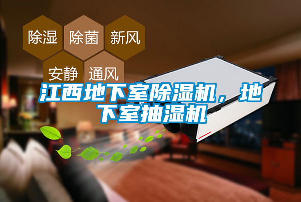 江西地下室草莓视频黄色在线观看机，地下室抽湿机