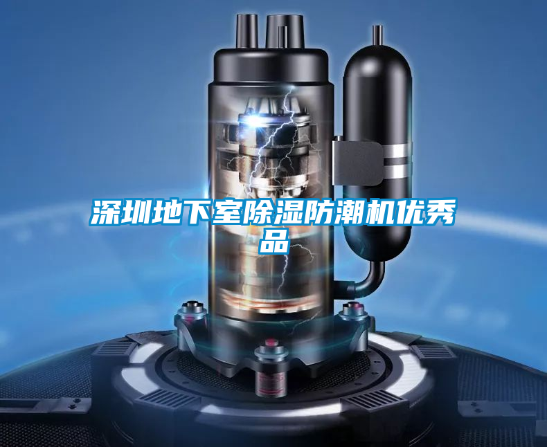 深圳地下室草莓视频黄色在线观看防潮机优秀品