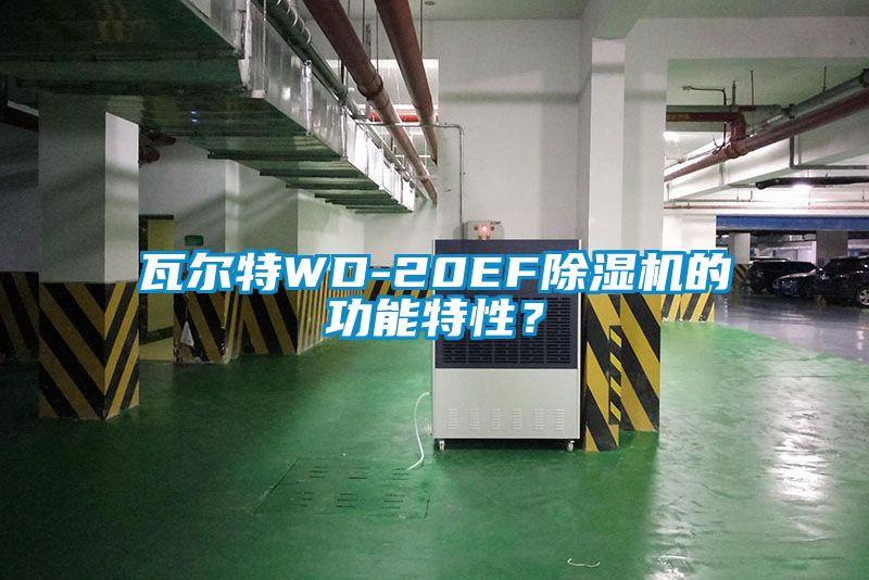 瓦尔特WD-20EF草莓视频黄色在线观看机的功能特性？