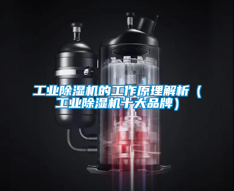 工业草莓视频黄色在线观看机的工作原理解析（工业草莓视频黄色在线观看机十大品牌）