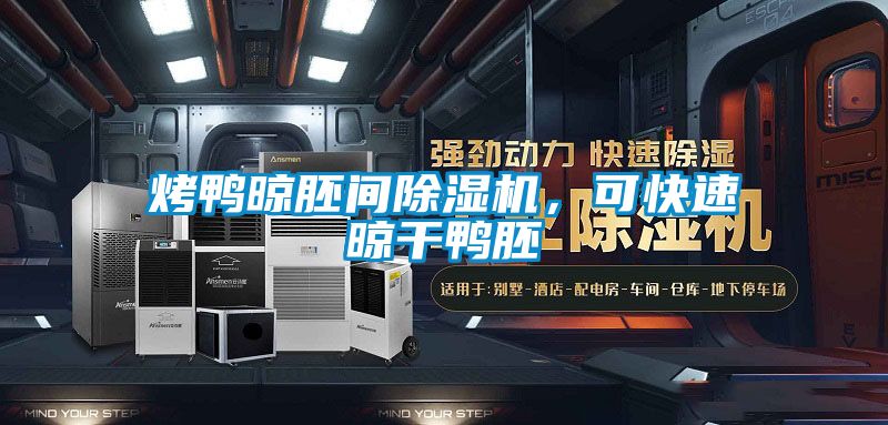 烤鸭晾胚间草莓视频黄色在线观看机，可快速晾干鸭胚