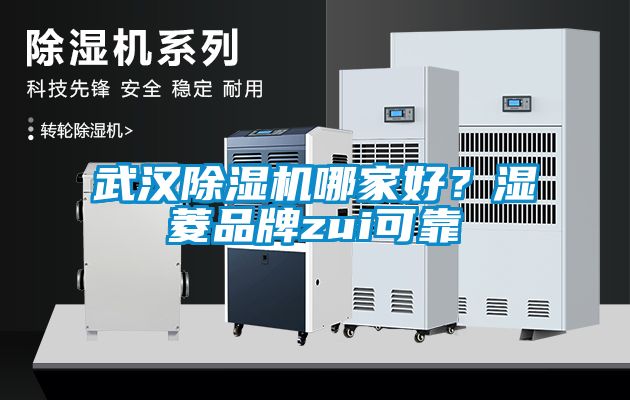 武汉草莓视频黄色在线观看机哪家好？湿菱品牌zui可靠