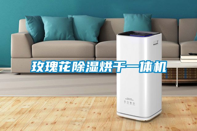 玫瑰花草莓视频黄色在线观看烘干一体机