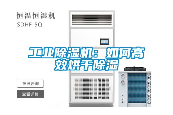 工业草莓视频黄色在线观看机：如何高效烘干草莓视频黄色在线观看
