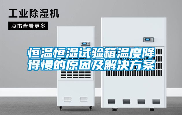 恒温恒湿试验箱温度降得慢的原因及解决草莓视频成人污版APP