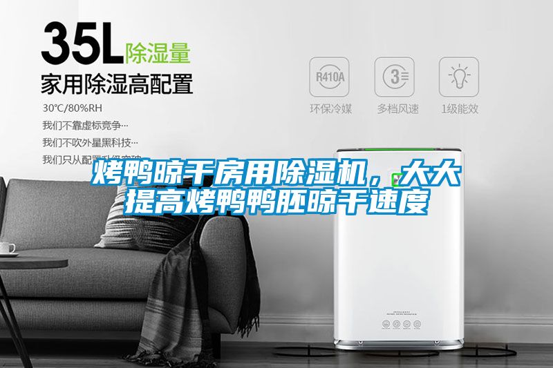 烤鸭晾干房用草莓视频黄色在线观看机，大大提高烤鸭鸭胚晾干速度