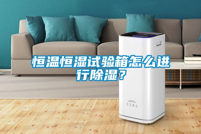 恒温恒湿试验箱怎么进行草莓视频黄色在线观看？