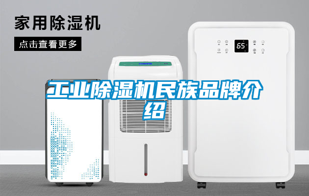 工业草莓视频黄色在线观看机民族品牌介绍