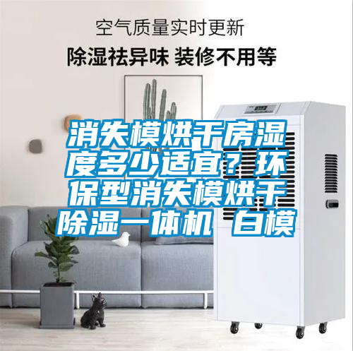 消失模烘干房湿度多少适宜？环保型消失模烘干草莓视频黄色在线观看一体机 白模
