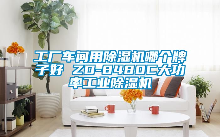 工厂车间用草莓视频黄色在线观看机哪个牌子好 ZD-8480C大功率工业草莓视频黄色在线观看机