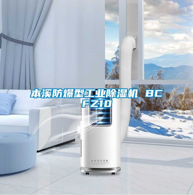 本溪防爆型工业草莓视频黄色在线观看机 BCFZ10