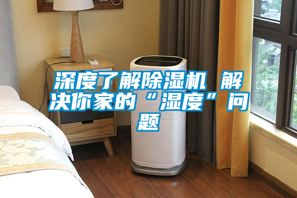 深度了解草莓视频黄色在线观看机 解决你家的“湿度”问题