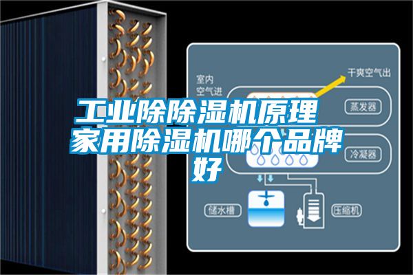 工业除草莓视频黄色在线观看机原理 家用草莓视频黄色在线观看机哪个品牌好