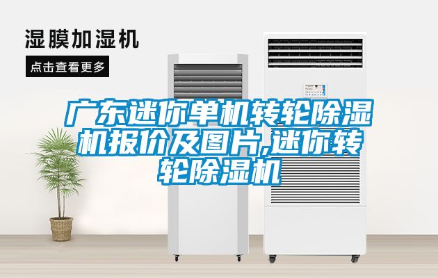 广东迷你单机转轮草莓视频黄色在线观看机报价及图片,迷你转轮草莓视频黄色在线观看机