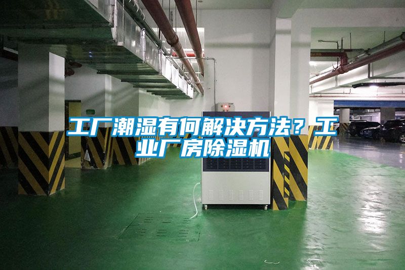 工厂潮湿有何解决方法？工业厂房草莓视频黄色在线观看机