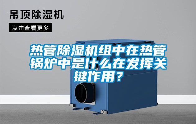 热管草莓视频黄色在线观看机组中在热管锅炉中是什么在发挥关键作用？