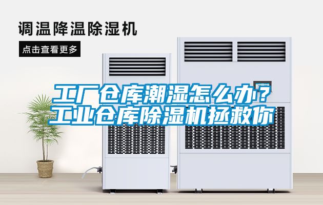 工厂仓库潮湿怎么办？工业仓库草莓视频黄色在线观看机拯救你