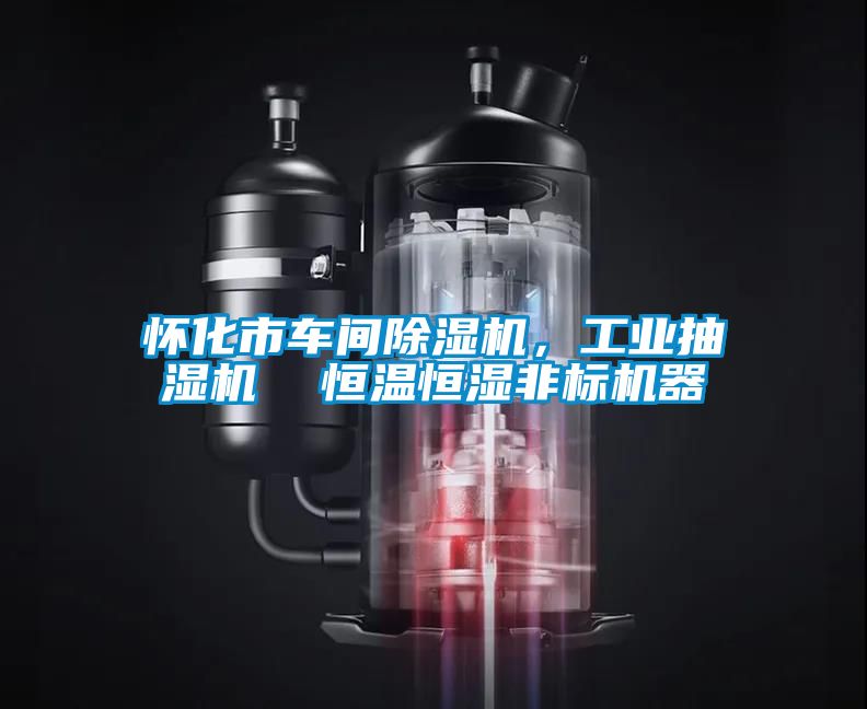 怀化市车间草莓视频黄色在线观看机，工业抽湿机  恒温恒湿非标机器