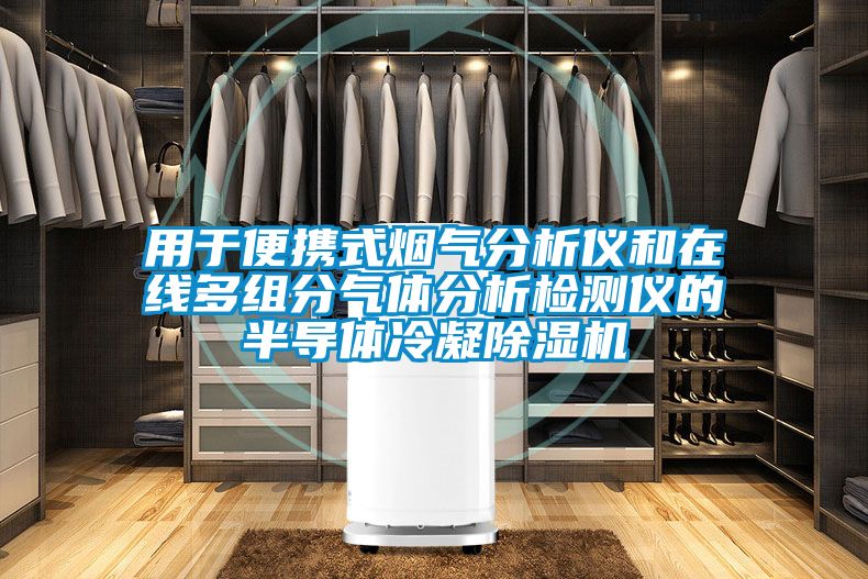 用于便携式烟气分析仪和在线多组分气体分析检测仪的半导体冷凝草莓视频黄色在线观看机