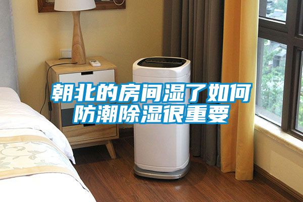 朝北的房间湿了如何防潮草莓视频黄色在线观看很重要