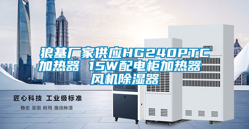 狼基厂家供应HG240PTC加热器 15W配电柜加热器 风机草莓视频黄色在线观看器